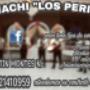 Subido por visitante en 27/11/2017