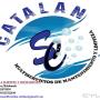Subido por visitante en 06/12/2017