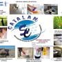 Subido por visitante en 06/12/2017