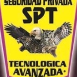 Seguridad spt