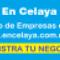 Publica-En-Celaya