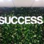 Logo SUCCES