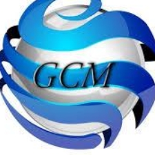 GLOBAL COMMERCE MEXICO