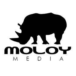 Diseño de Páginas Web - Moloymedia
