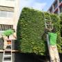 Subido por visitante en 21/02/2018 - Servicio de Jardineria