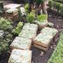 Subido por visitante en 21/02/2018 - Servicio de Jardineria