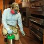 Subido por visitante en 21/02/2018 - Servicios de Fumigación a Restaurantes