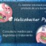 Bacteria Estomago