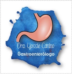 Dra Yossie Canino