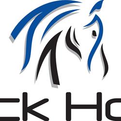 Black Horse Mx
