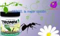 insecticida para hormigas