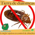 tierra de diatomeas