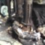 Subido por visitante en 14/03/2018