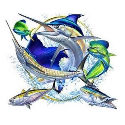 Cabo Fishing Pros