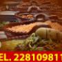 Subido por visitante en 21/03/2018