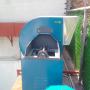 las aguilas