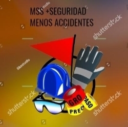 Multiseguridad Industrial