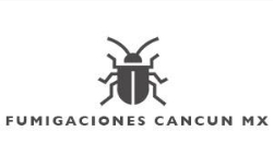 Fumigaciones Cancun MX