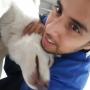 pets consult