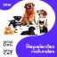 Catálogo Q1-2018