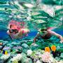 Snorkeling in Puerto Morelos