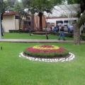 Jardineria