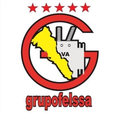 Grupo Fuerza Electrica de Sinaloa SA de CV