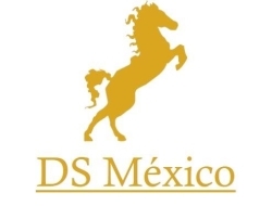 Comercializadora DS México