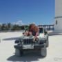 Subido por visitante en 16/06/2018