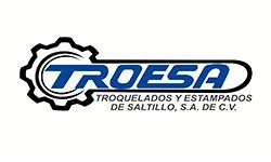 Troquelados y Estampados de Saltillo - TROESA