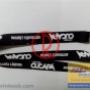 Lanyard