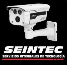 Camaras de Seguridad SEINTEC