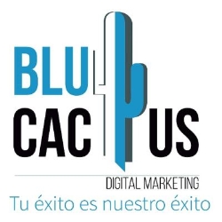 BluCactus Mexico - Agencia de Marketing Digital