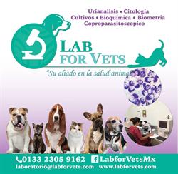 LAB FOR VETS
