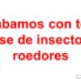Subido por visitante en 27/08/2018