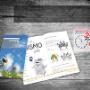 Subido por visitante en 28/08/2018 - Brochure empresarial diseño