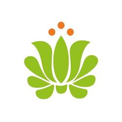 Ecoyaab Jardines Verticales