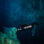 Koox Diving Playa Del Carmen