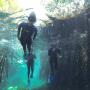 Koox Diving Playa Del Carmen