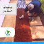 diseño de jardines