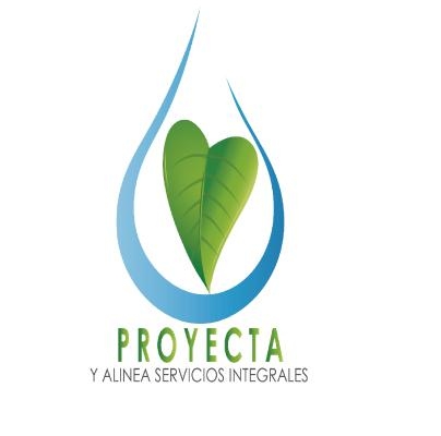 Proyecta y Alinea, Servicios Integrales, S.A. DE C.V.