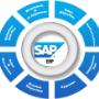 SAP BUSINESS ONE
