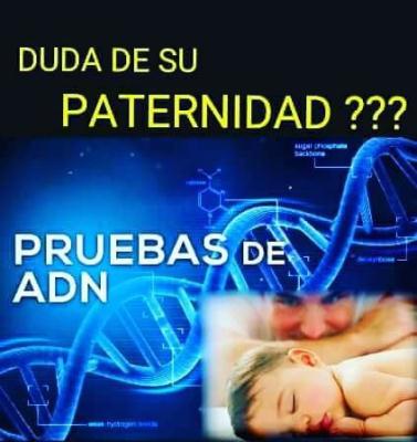 PRUEBA-DE-PATERNIDAD