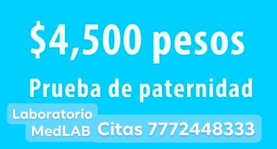 PRUEBA-DE-PATERNIDAD