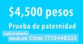 Prueba de Paternidad