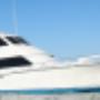 Armada Sport Fishing & Charter | Cabo San Lucas