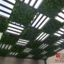 PERGOLA FOLLAJE