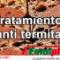 Tratamiento-anti-termita