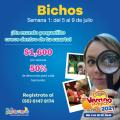 Curso de verano 2021