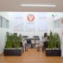 Estudio Dirigido Suc. Copilco